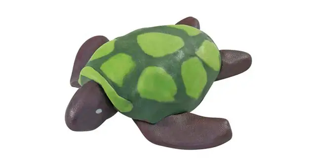 Schildkröte als kreative Vorlage